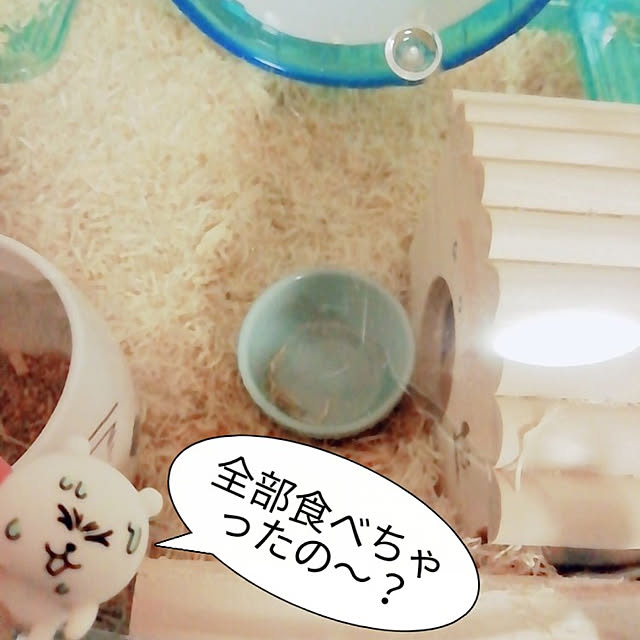 haruさんの実例写真