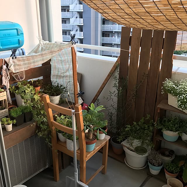 yuccoさんの実例写真