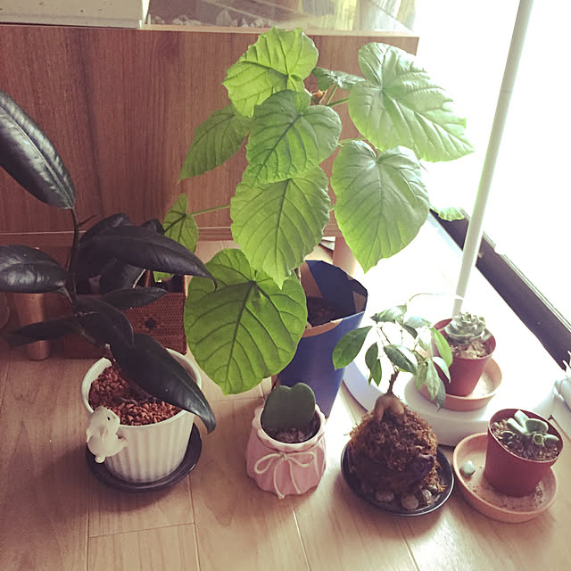 charさんの実例写真