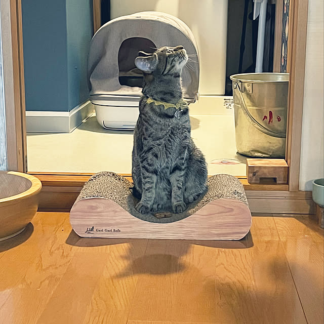 Mさんの実例写真