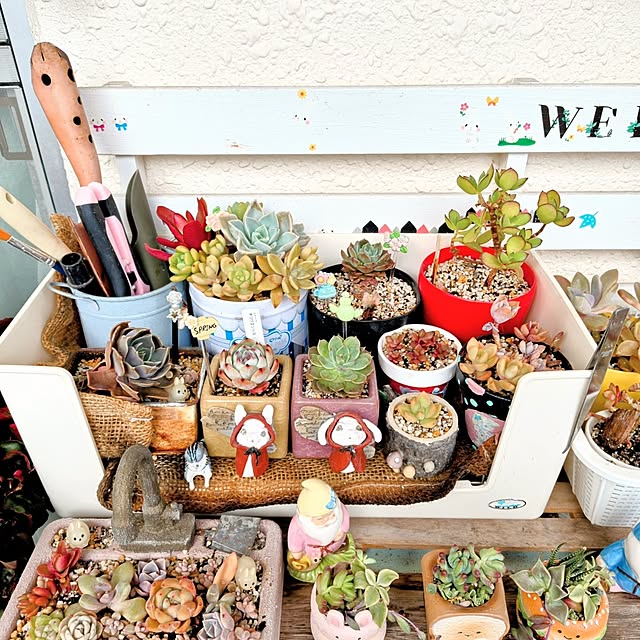 mariaさんの部屋