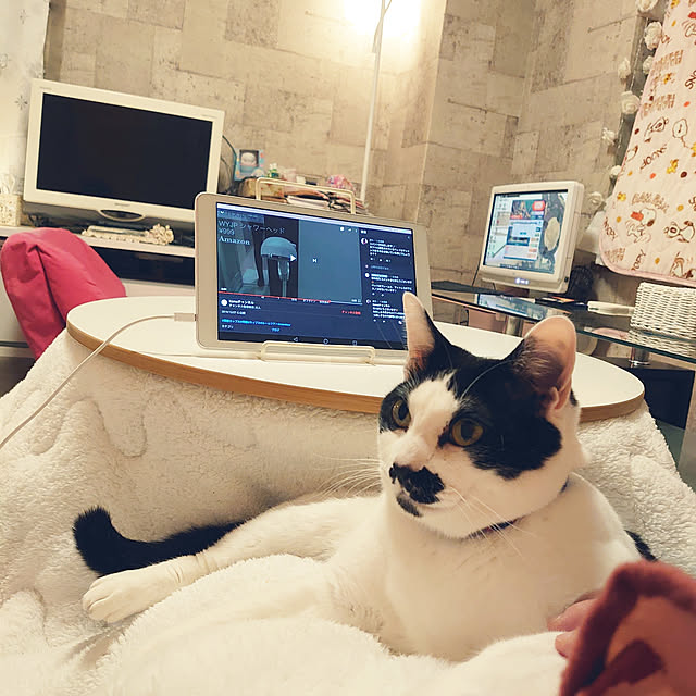 asuminさんの実例写真