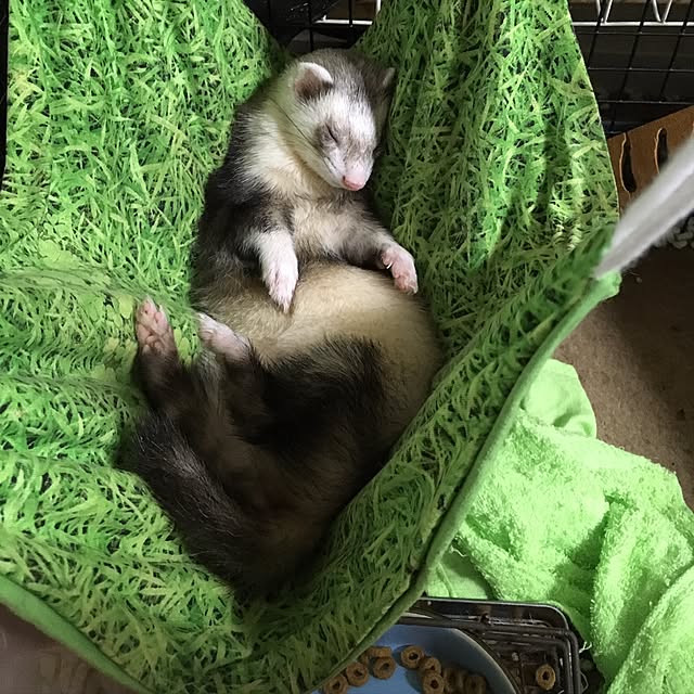 Kozueさんの実例写真