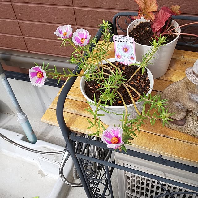 yumiyumiさんの部屋