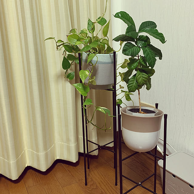 pakilaさんの実例写真