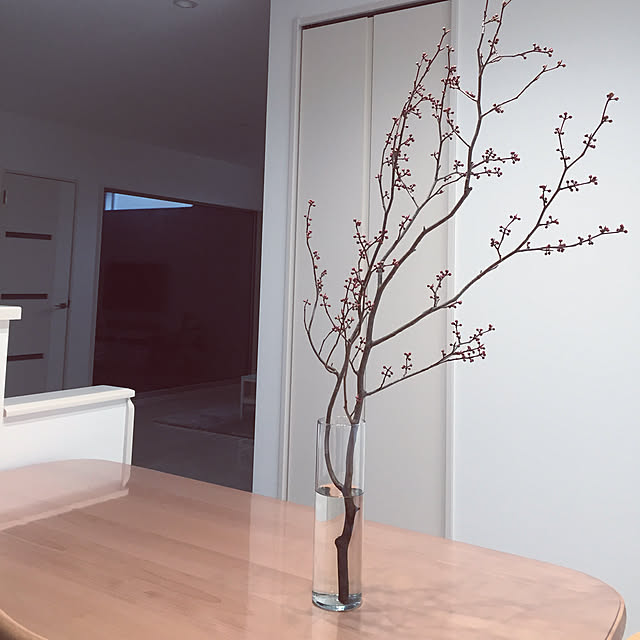 リビング/花のある暮らし/IKEA/花瓶/ダイニング...などのインテリア実例 - 2017-11-18 10:50:01