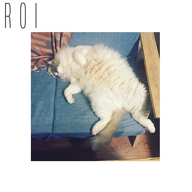runtenさんの実例写真