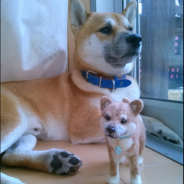 kotaさんの実例写真