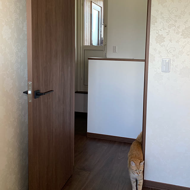 mikeume7さんの実例写真