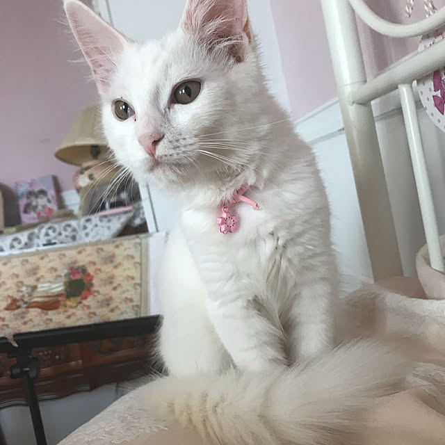 sakuraさんの実例写真