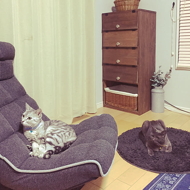 remonmikanさんの実例写真