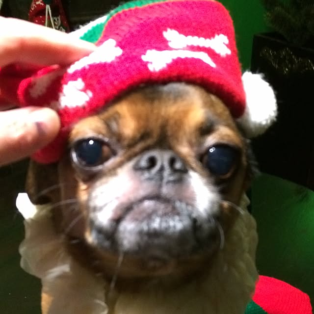 skipperさんの実例写真