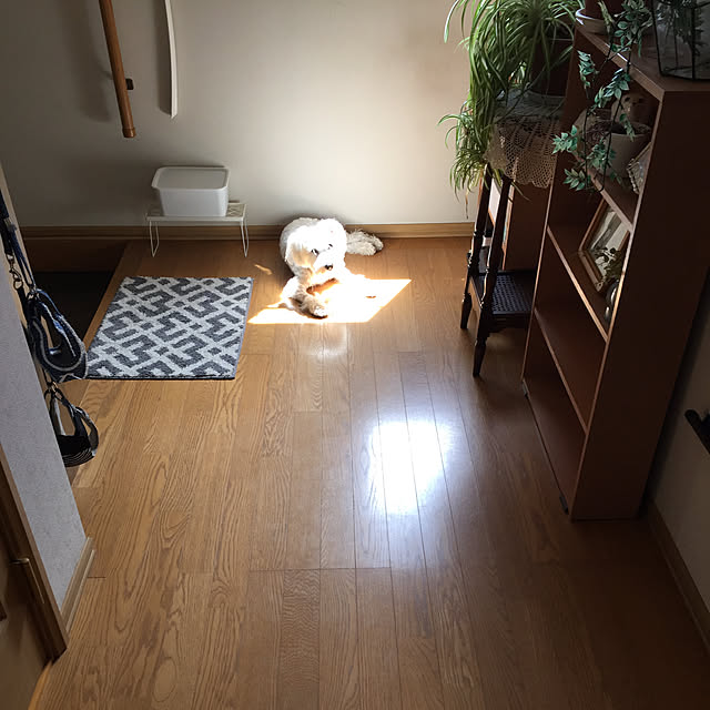 Mahoさんの実例写真