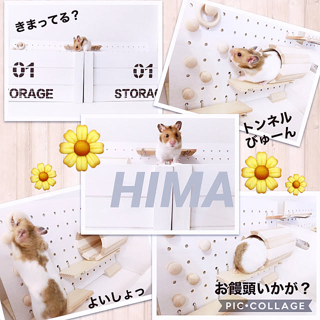 myyさんの実例写真