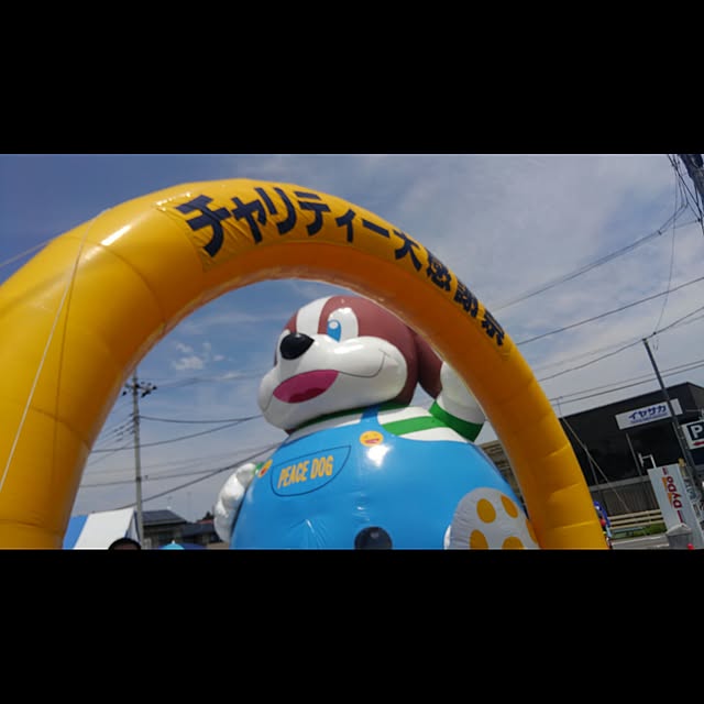 実例写真