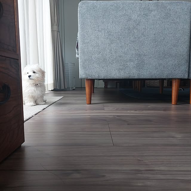 325unさんの実例写真