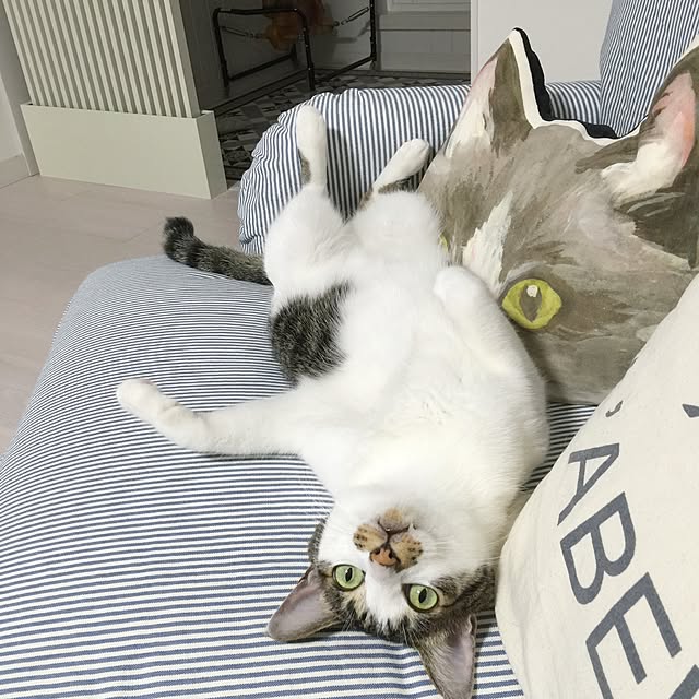 yuchiさんの実例写真