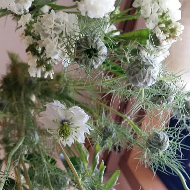hitomiさんの実例写真