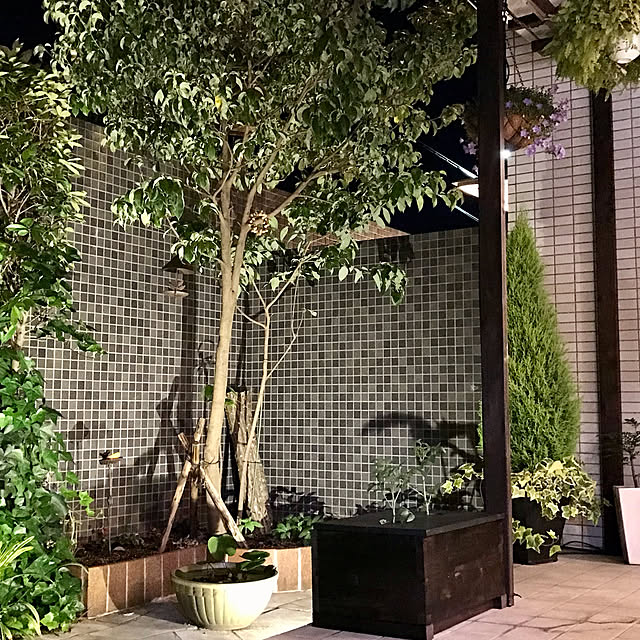 piyoさんの部屋