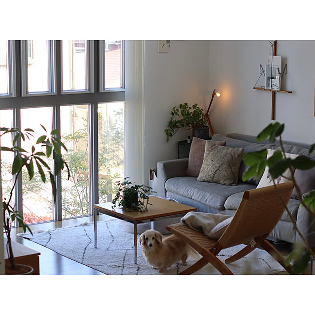 hanatomidorinoheyaさんの部屋