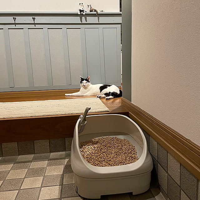 nobikoさんの実例写真