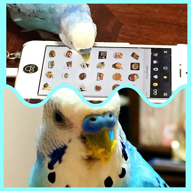 p.mamaさんの実例写真