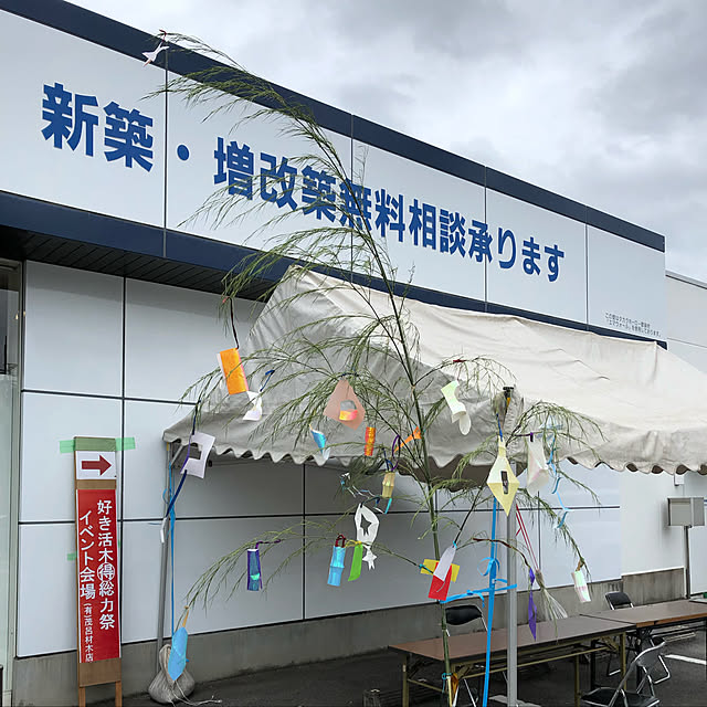 実例写真
