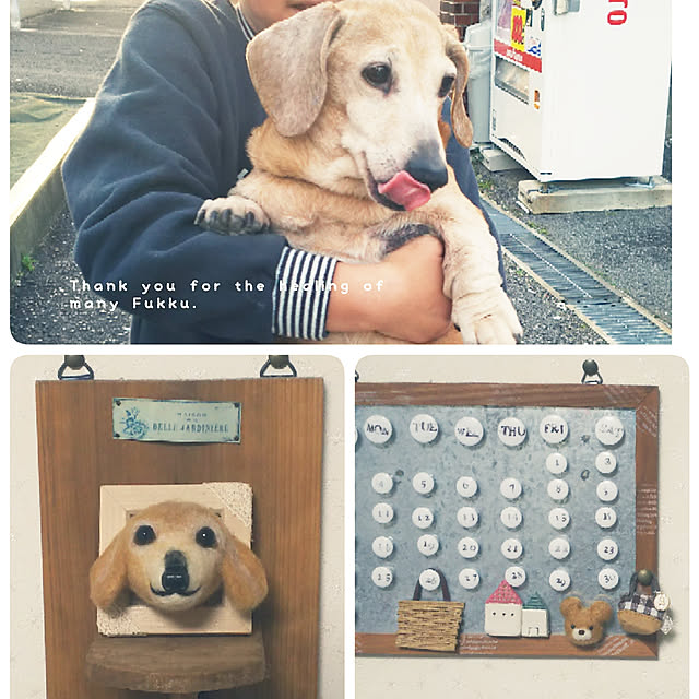 junさんの実例写真