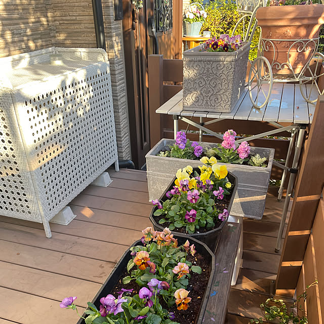 ronronさんの部屋