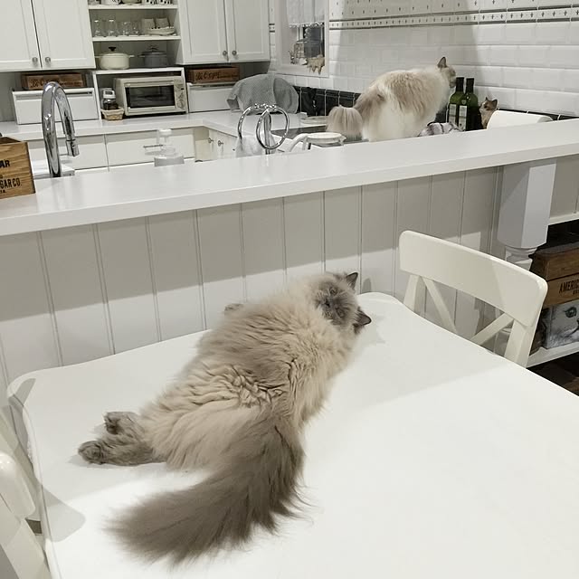 yuchiさんの実例写真