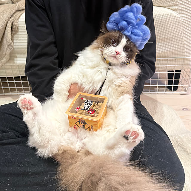 niuさんの実例写真