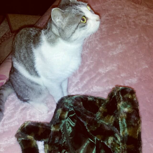 emmyyさんの実例写真