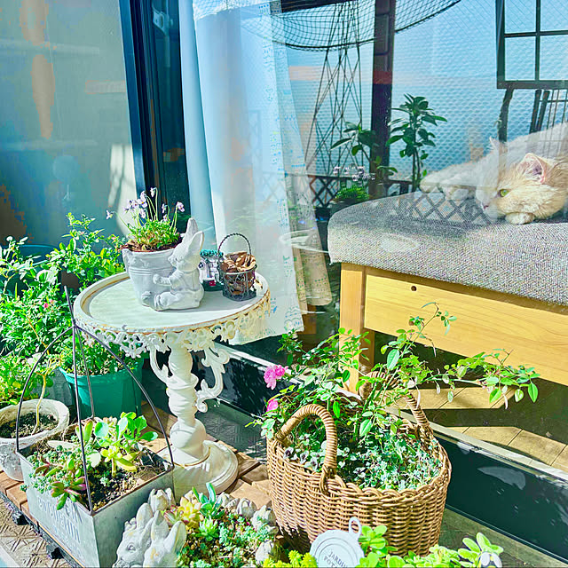 naokoさんの実例写真