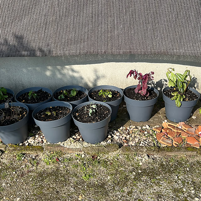 ritsukoさんの部屋