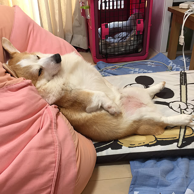 mihoさんの実例写真