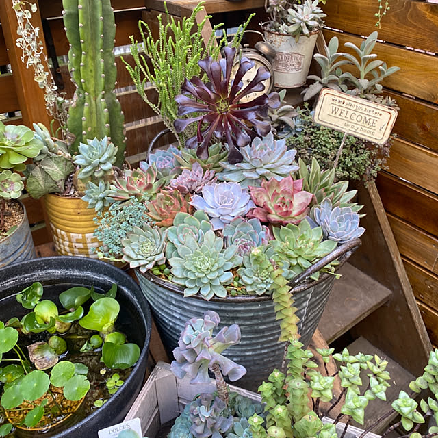 mintteaさんの実例写真