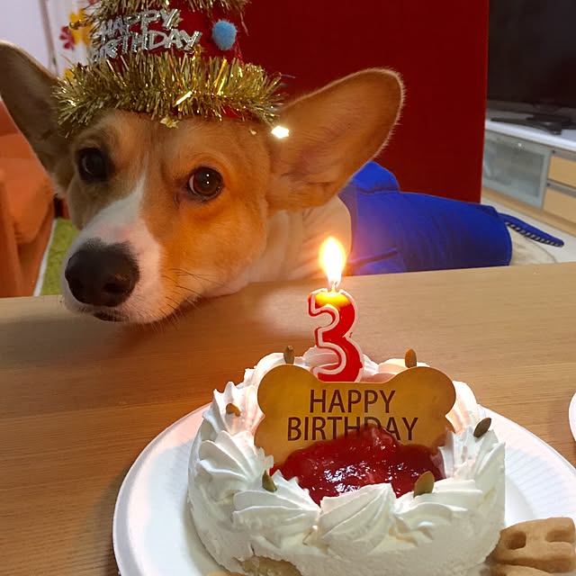 terumi.724さんの実例写真