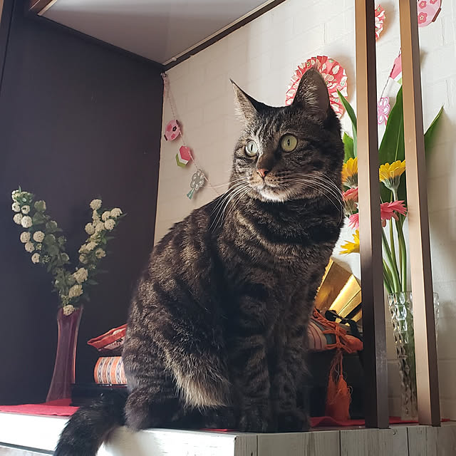 Mayumi8888さんの実例写真