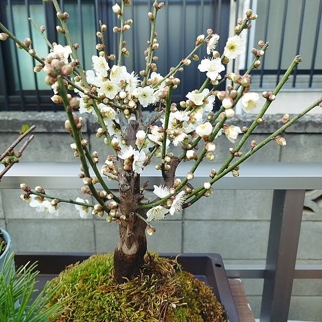 chizutaroさんの部屋