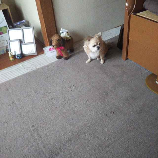 kiraさんの実例写真