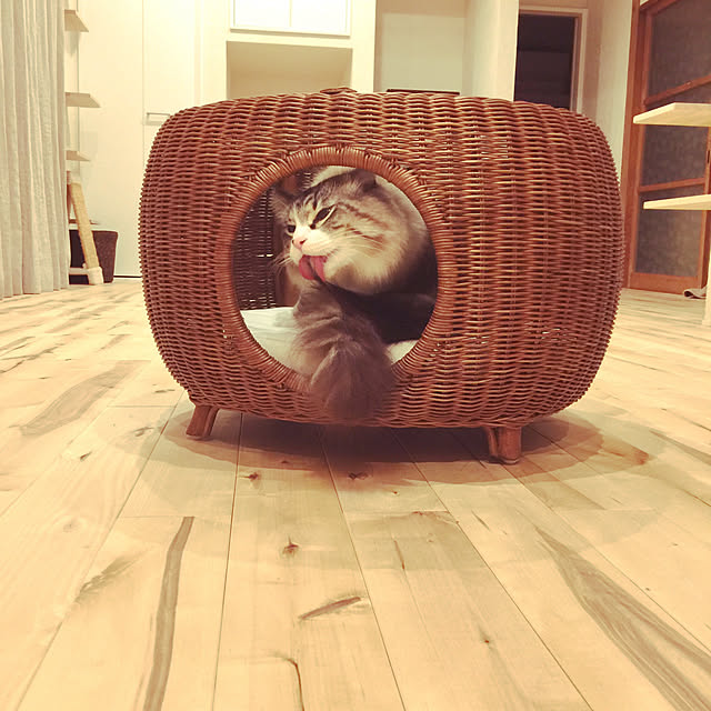 masyacanonさんの実例写真