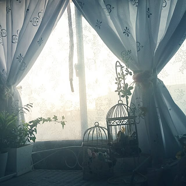 fu-ka24さんの実例写真
