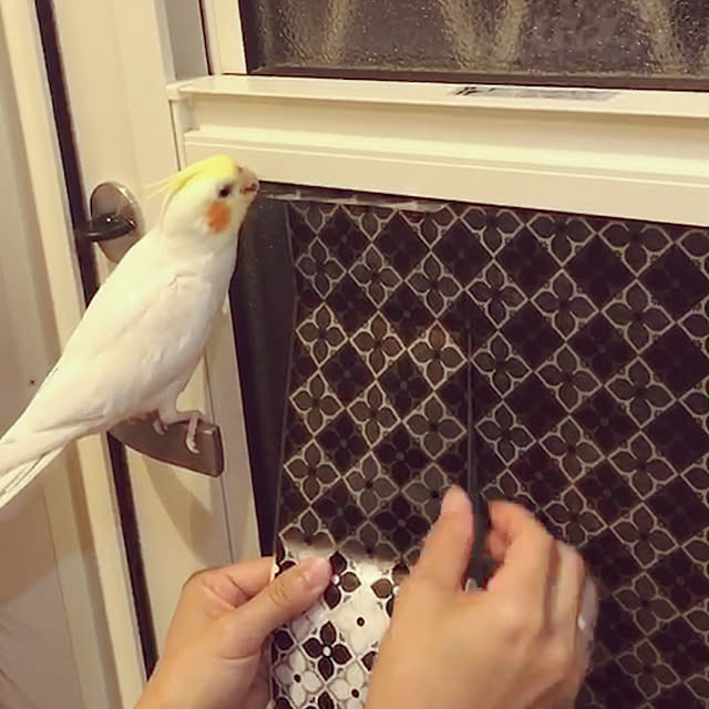 amberhouseさんの実例写真