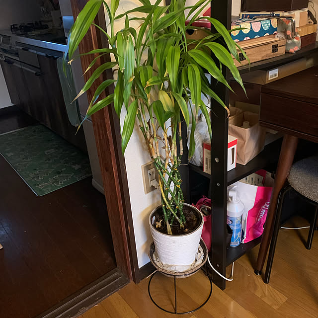 tamausagiさんの実例写真