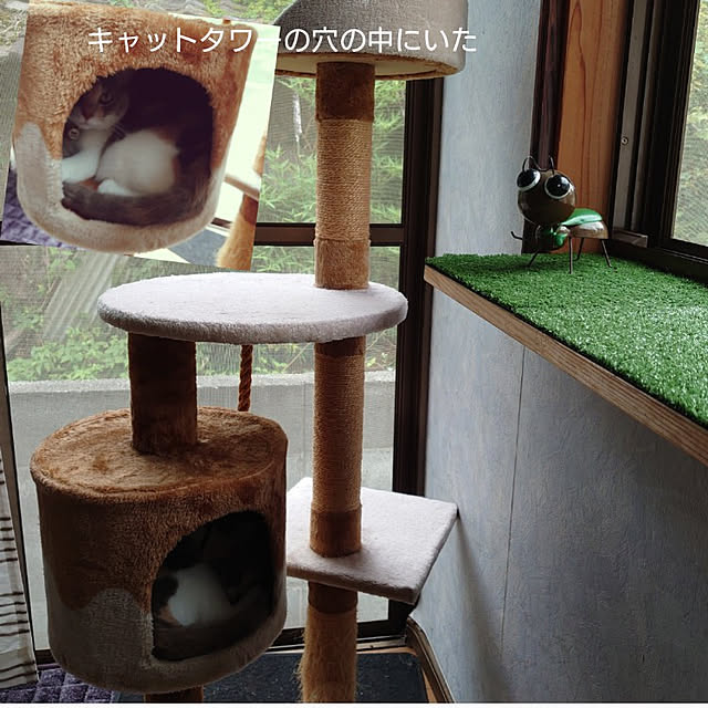 fukuさんの実例写真