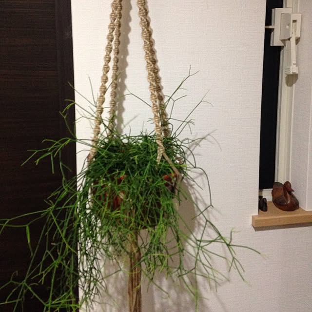 nozomiyaさんの実例写真