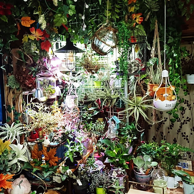 hiro4649さんの実例写真