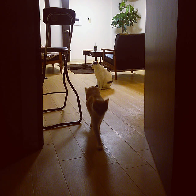 noguchiken0102さんの実例写真