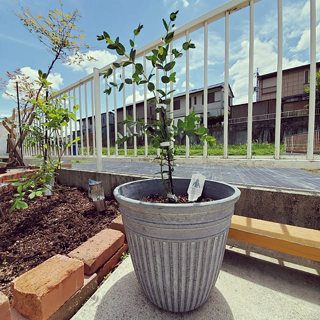 KTKYTさんの実例写真