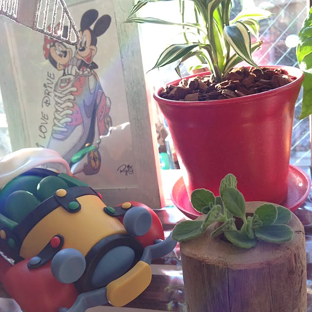 yucacoさんの実例写真